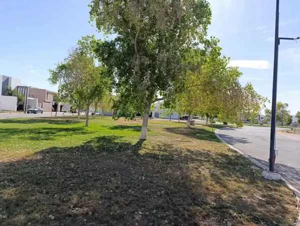 Terreno en venta en Villas del Renacimiento, Torreón — foto 3 de 5