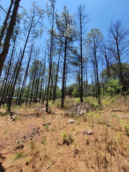 VENTA de terreno Campestre mas de 1000 m2,  para cabaña en Amealco, Querétaro.