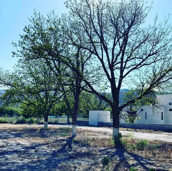 Terreno en venta en Sacramento, Sacramento — foto 3 de 11