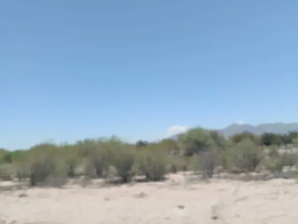 Terreno en venta en Andalucia, Matamoros — foto 3 de 6