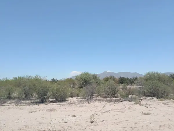 Terreno en venta en Andalucia, Matamoros — foto 2 de 6