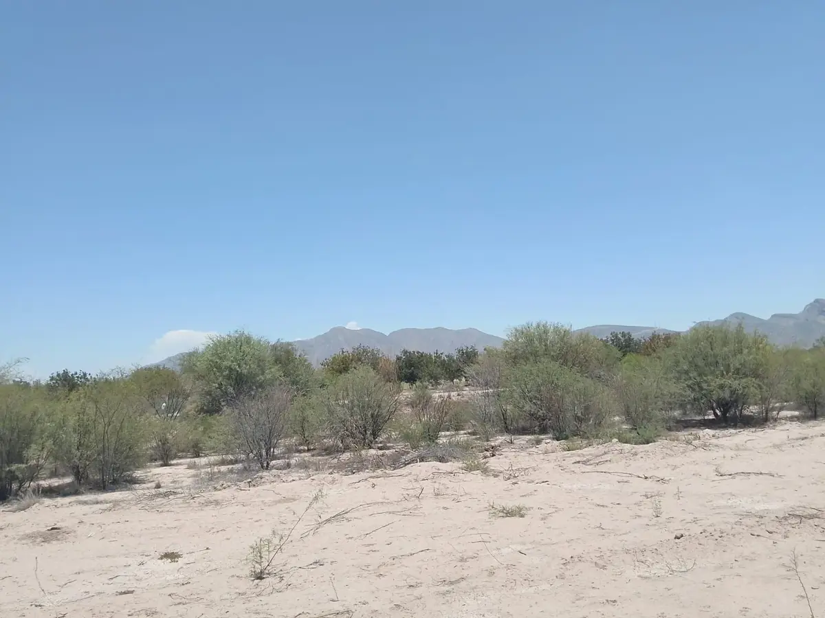 Terreno en Venta en Andalucia, Matamoros, Coahuila de Zaragoza Terreno en Venta en Andalucia, Matamoros, Coahuila de Zaragoza