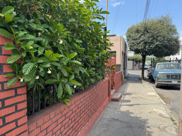 Casa en venta en Talleres, Monterrey — foto 3 de 16