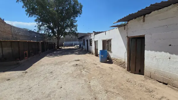 Terreno en venta en Ejido Ignacio Allende, Torreón — foto 3 de 11