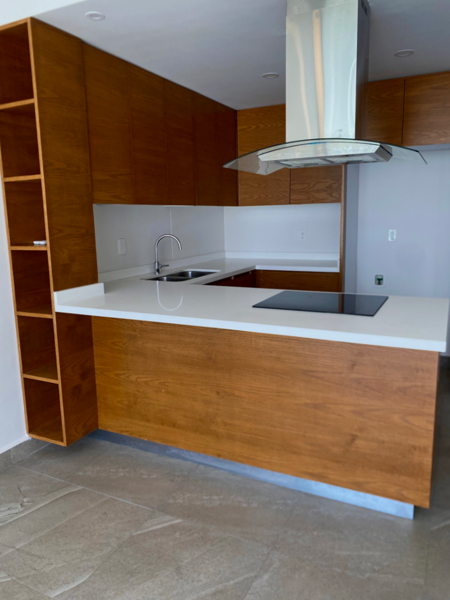 Departamento en renta en Bosques la Huasteca, Santa Catarina — foto 2 de 19