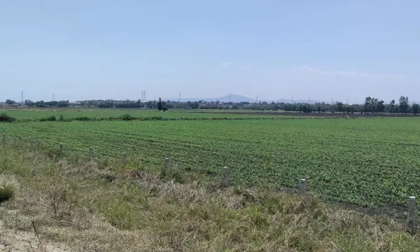 Terreno Industrial en Venta Caleras P - 135
