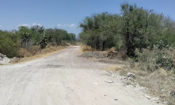 Terreno en venta en Campamento Adjuntas, Apaseo El Grande — foto 3 de 5