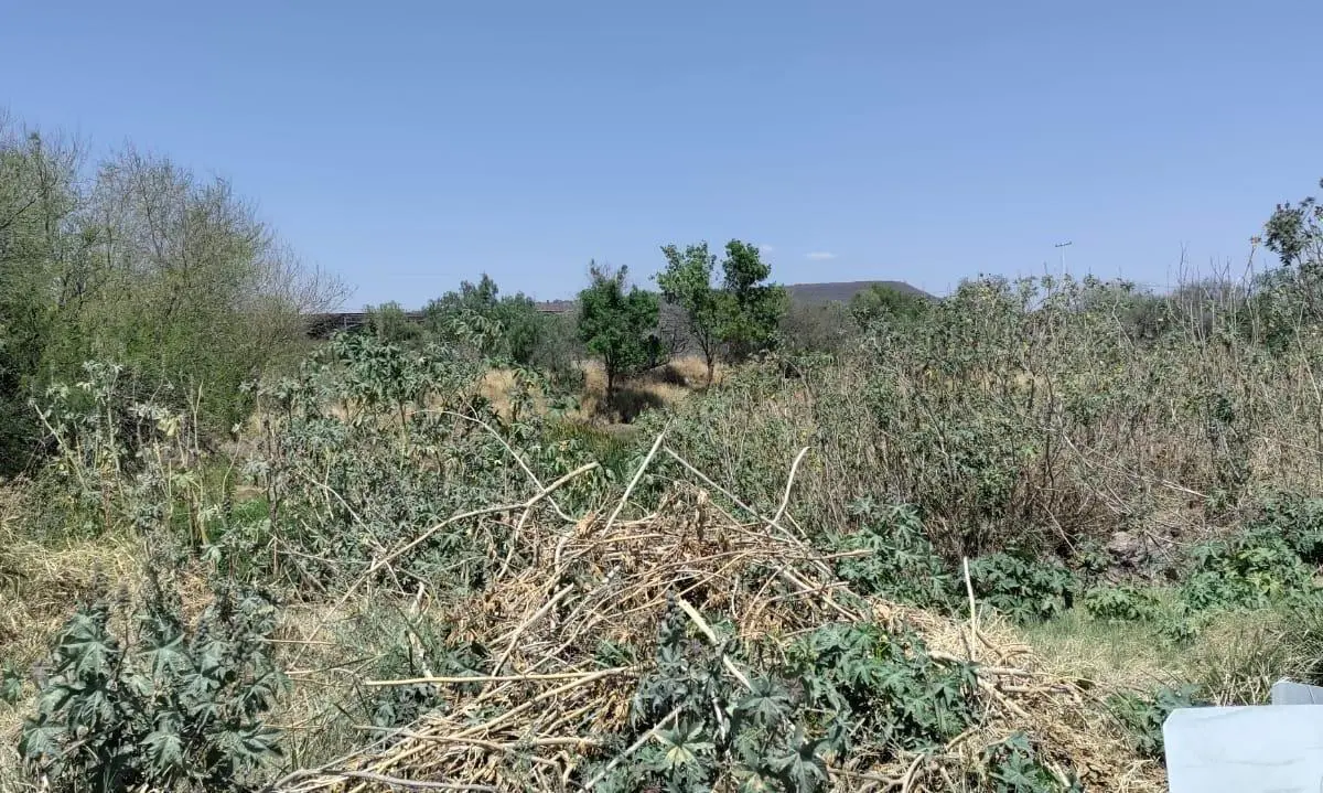 Terreno en venta en Campamento Adjuntas, Apaseo El Grande — foto 1 de 5