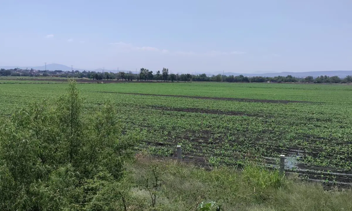 Terreno en venta en Hacienda Castillo, Apaseo El Grande — foto 1 de 4