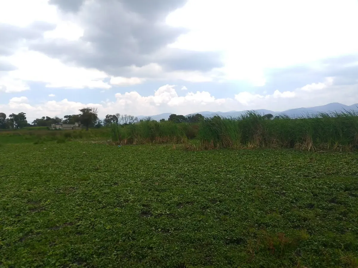 Terreno en venta en San Lucas Tunco, Metepec — foto 1 de 4