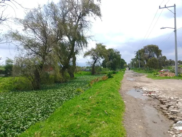 Terreno en venta en San Lucas Tunco, Metepec — foto 3 de 4