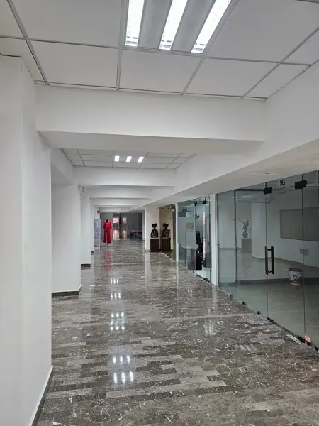 Oficina en renta en Del Valle, San Pedro Garza García — foto 3 de 3
