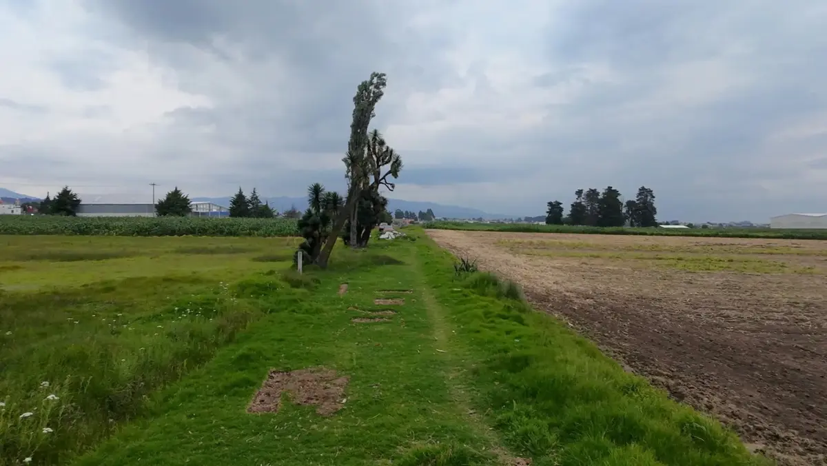 Terreno en venta en Santa Cruz Cuauhtenco, Zinacantepec — foto 1 de 4