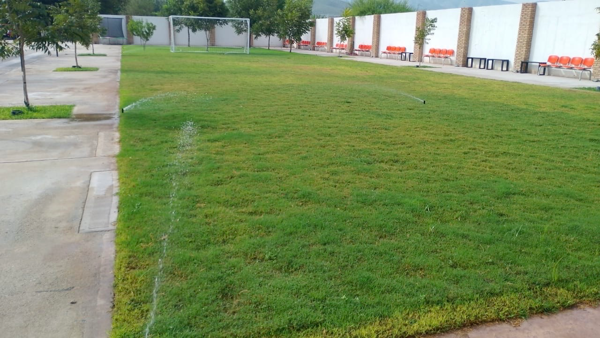 Terreno en venta en El Huarache (el Guarache), Lerdo — foto 3 de 6