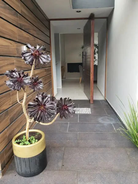 Casa en venta en Cholula, San Pedro Cholula — foto 2 de 20