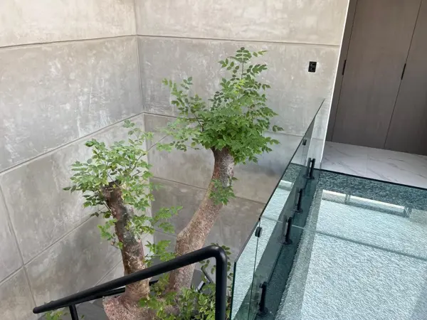 Casa en venta en San Andrés Cholula Centro, San Andrés Cholula — foto 3 de 19