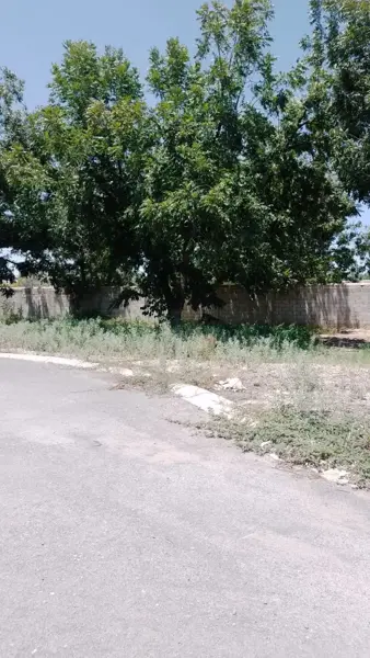 Terreno en venta en Las Trojes, Torreón — foto 2 de 2