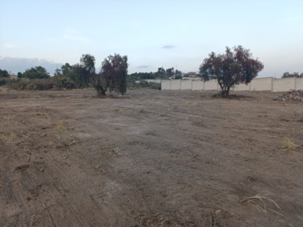Terreno en venta en Las Palmitas, Zempoala — foto 2 de 3