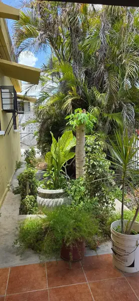 Terreno en venta en Miguel Aleman, Mérida — foto 2 de 12