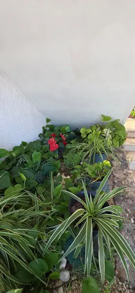 Departamento en venta en Los Pinos, Mérida — foto 3 de 12