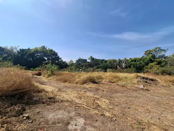 Terreno en venta en Lomas de Atzingo, Cuernavaca — foto 2 de 9