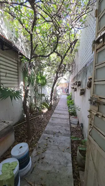 Casa en renta en Cupules, Mérida — foto 2 de 25