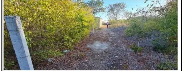Terreno en venta en Xcunya, Mérida — foto 2 de 5
