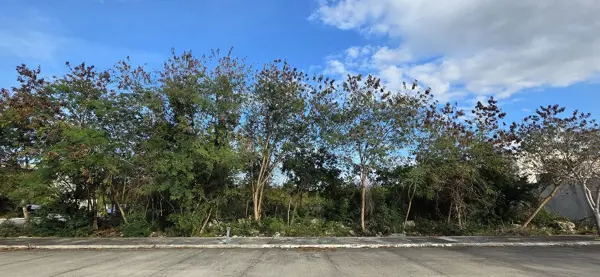 Terreno en venta en Komchen, Mérida — foto 3 de 9