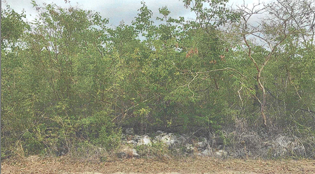 Terreno en venta en Misnebalam, Progreso