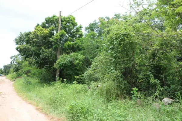 Terreno en venta en Cholul, Mérida — foto 3 de 7