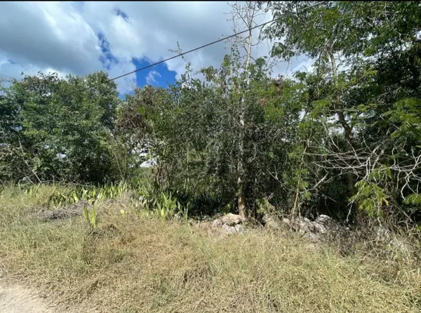 Terreno en venta en Cholul, Mérida — foto 2 de 7