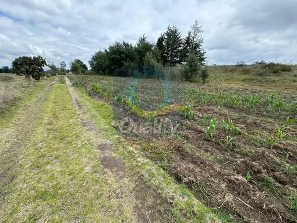 Terreno en venta en San Salvador Tzompantepec, Tzompantepec — foto 3 de 5
