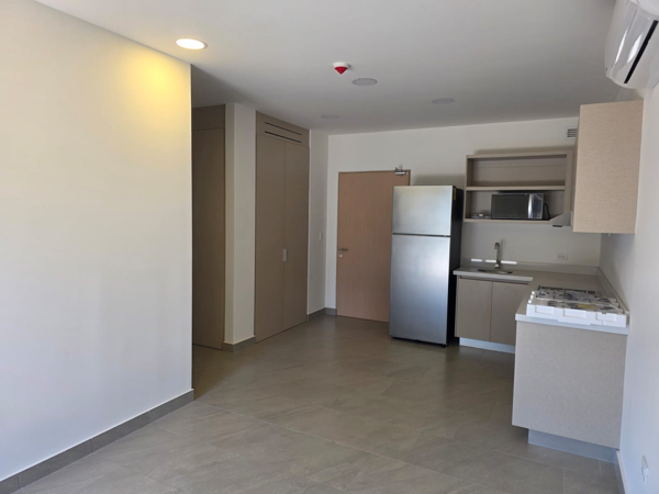 Departamento en renta en El Lechugal, Santa Catarina — foto 3 de 12