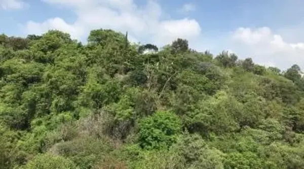 Terreno en venta en Lomas de Tzompantle, Cuernavaca — foto 3 de 4