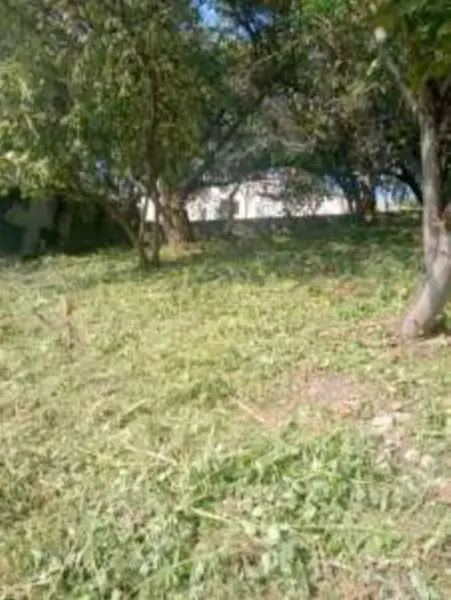 Terreno en venta en Palmira, Cuernavaca — foto 2 de 7
