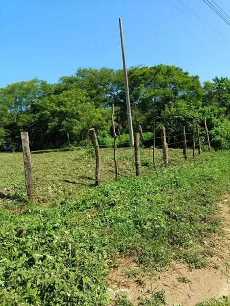 Terreno en venta en Troncones (Emiliano Zapata), La Unión de Isidoro Montes de Oca — foto 3 de 5