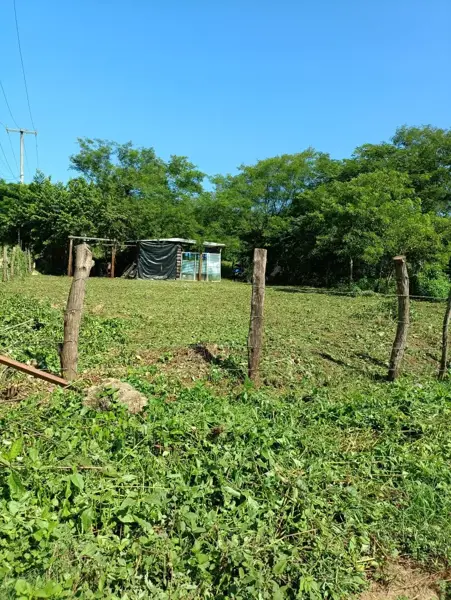 Terreno en venta en Troncones (Emiliano Zapata), La Unión de Isidoro Montes de Oca — foto 2 de 5