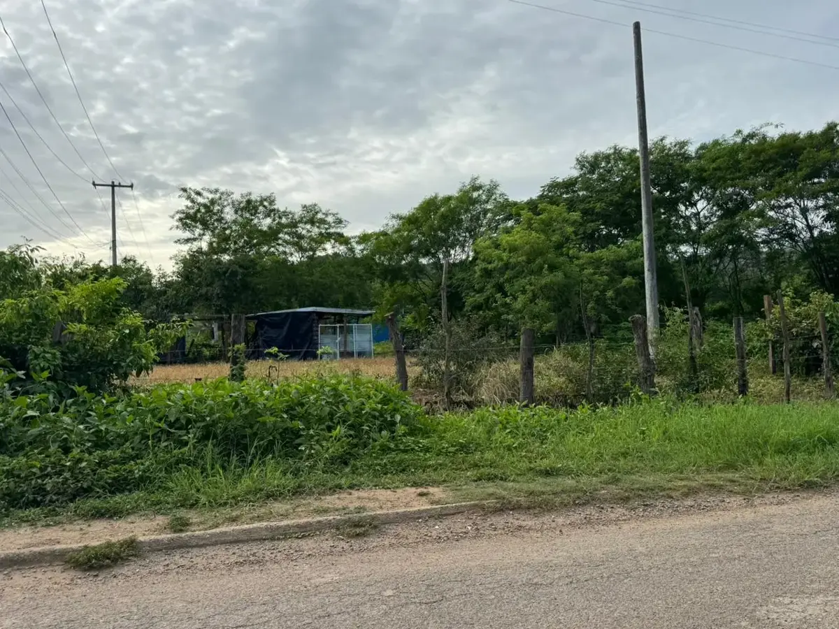 Entorno del terreno en Troncones, municipio de La Unión de Isidoro Montes de Oca (imagen informativa)