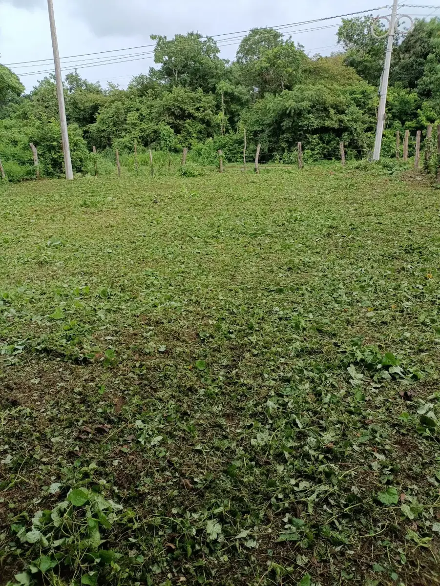 Terreno en venta en Troncones, Guerrero, con doble frente en esquina (imagen informativa)