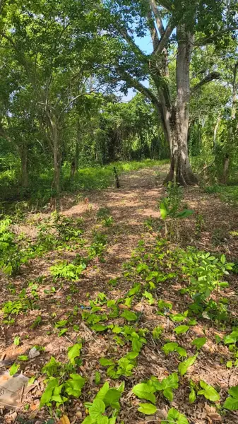 Finca-Rancho en venta en La Huasteca 2da. Sección (Alvarado la Raya), Centro — foto 3 de 7