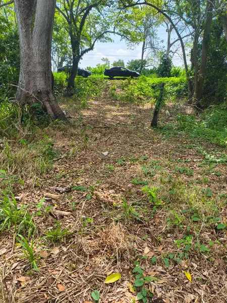 Finca-Rancho en venta en La Huasteca 2da. Sección (Alvarado la Raya), Centro — foto 2 de 7