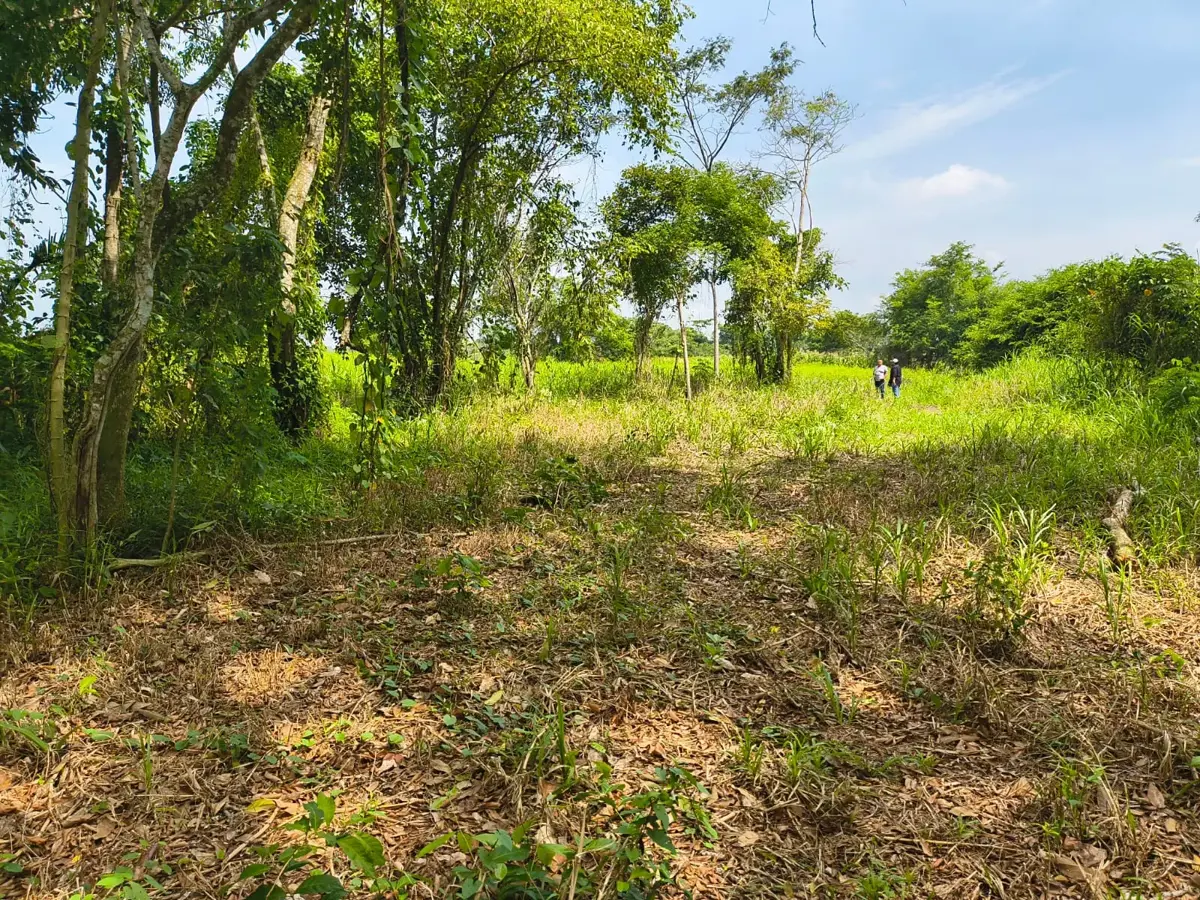 Finca-Rancho en venta en La Huasteca 2da. Sección (Alvarado la Raya), Centro — foto 1 de 7
