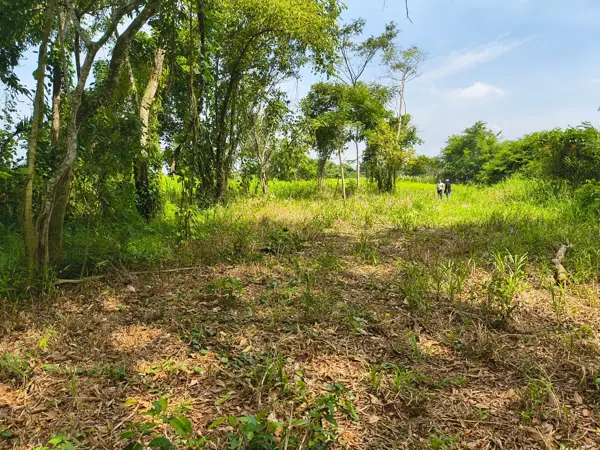 REMATO DE OPORTUNIDAD RANCHO KM 31 CARRT VHSA TEAPA LA HUASTECA