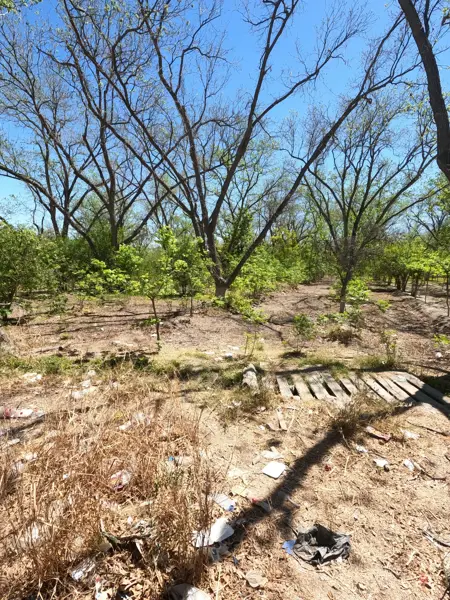 Terreno en venta en Elíseo Mendoza Berrueto, Parras — foto 3 de 17