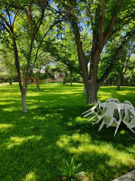 Casa en renta en Rincon del Montero, Parras — foto 3 de 20