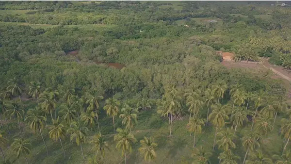 Terreno en venta en Pueblo Ixtapa Zihuatanejo, Zihuatanejo de Azueta — foto 3 de 5