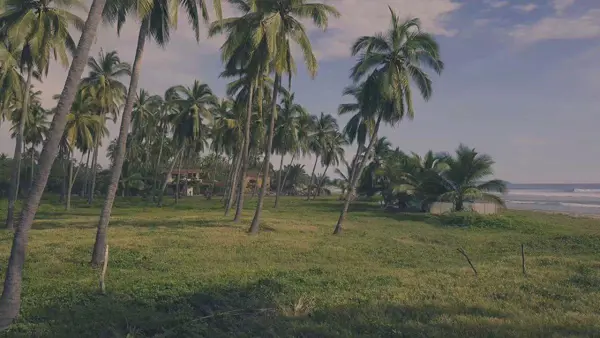 Terreno en Venta en Buena Vista, Zihuatanejo de Azueta, Guerrero | KC0060