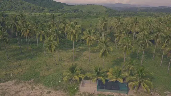 Terreno en venta en Pueblo Ixtapa Zihuatanejo, Zihuatanejo de Azueta — foto 2 de 5