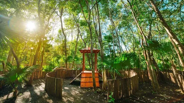 Terreno en venta en Playa del Carmen, Playa del Carmen — foto 3 de 3
