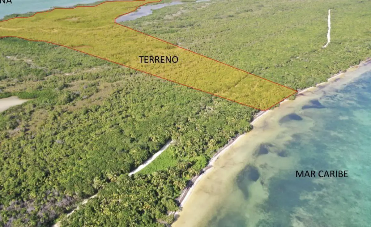 Terreno en venta en Javier Rojo Gómez (Punta Allen), Tulum — foto 1 de 5